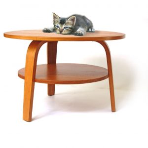Cees Braakman Pastoe Oak series plywood coffee table