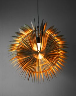 Book Lamps